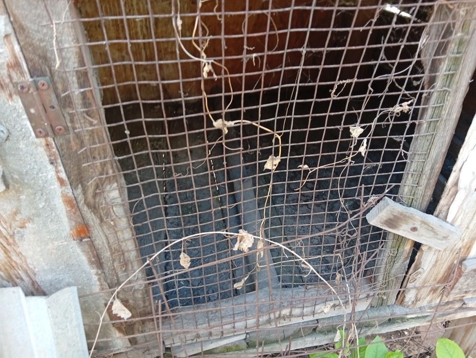 Клетки для кроликов