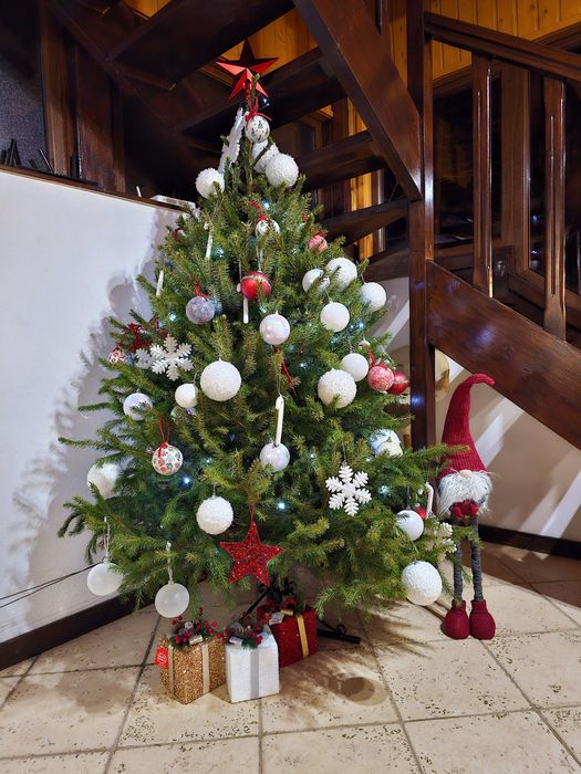 Cabana 6 persoane, doua dormitoare Valea Avrigului