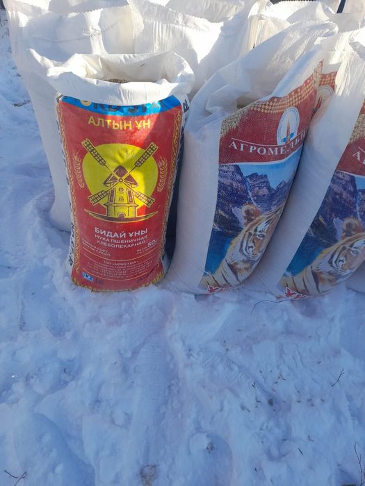 Продам Сулы..(Овёс)