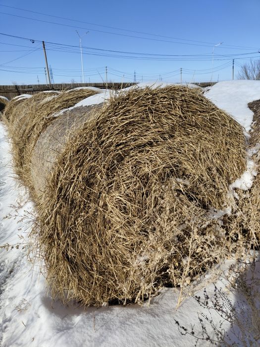 шоп сатылады, рулон сено