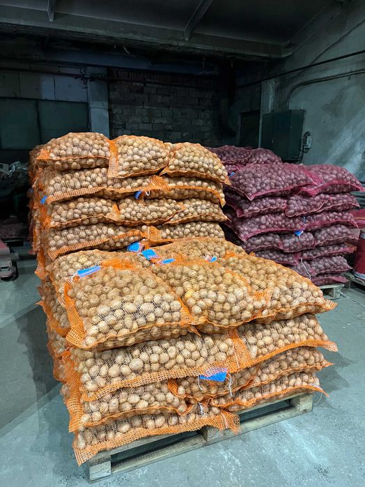 Cartofi de sămânță certificată