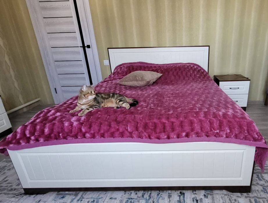 Продам кровать, тумбочки и туалетный столик