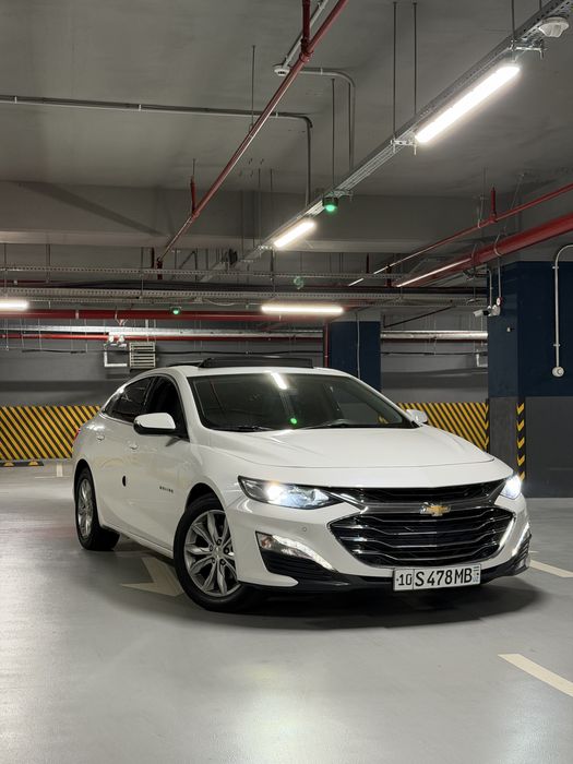 Malibu 2 16.800$