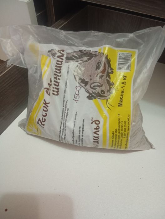 Девочка хомяк 1.5 месяцев