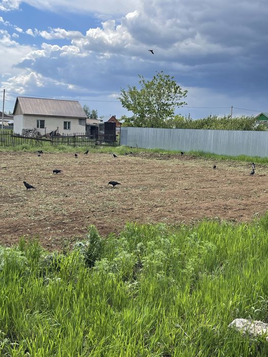 Продам дачный участок