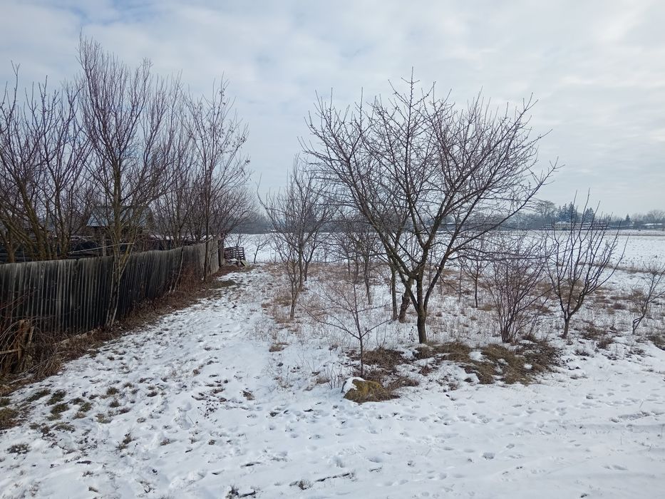 Teren Intravilan +casă