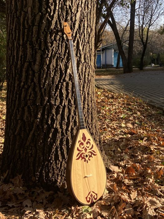 Домбыра Детский Чехолымен ТЕГІН ЖЕТКІЗУ