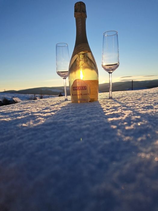 Tiny house maguri ciubar chirie