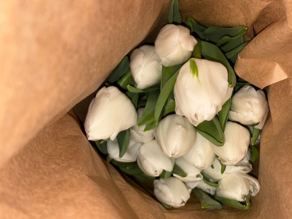 Супер цены! Шымкент