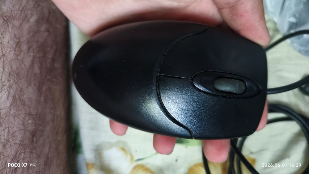 Мышка Genius NetScroll 120