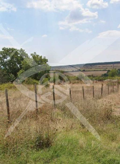 Продава се Земеделски имот в с. Преображенци, Област Бургас -  кв.м за 2000 €/дка - Снимка #3