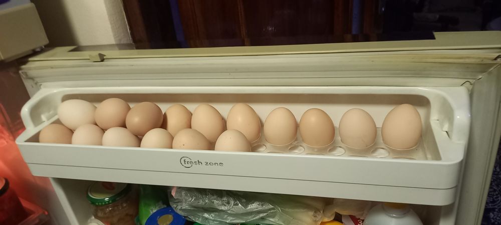 Холодильник DAEWOO No frost