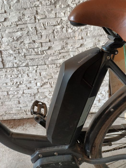 Bicicletă electrică asistată Bosch
