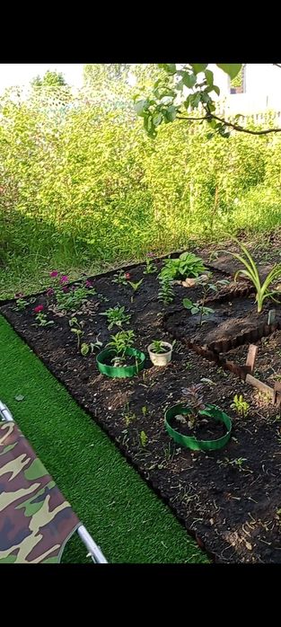 Продам дачу. С/ о "Дружба"