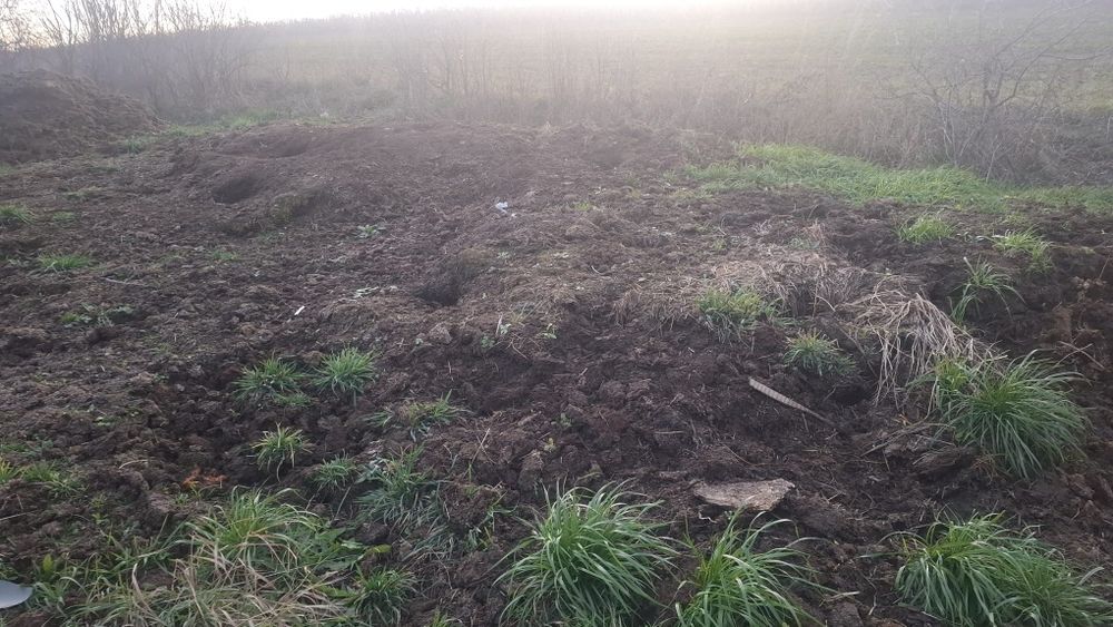 Vand gunoi de grajdi