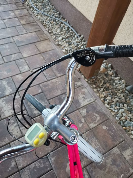 Bicicleta de fate pe 22