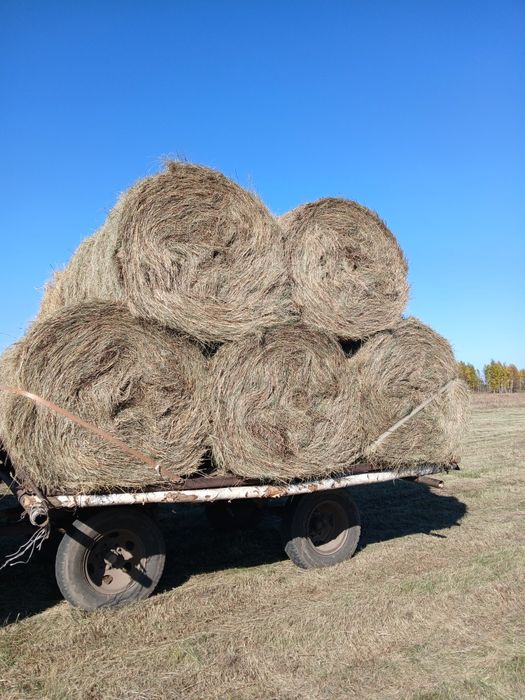 Продам сено доставка