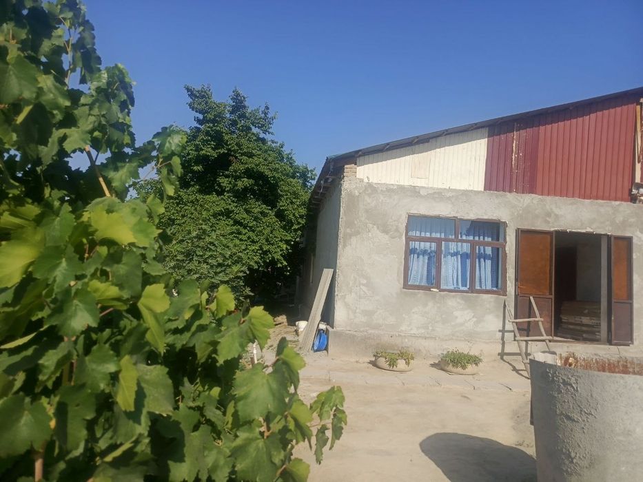 Ховли уй сотилади 8 сотих