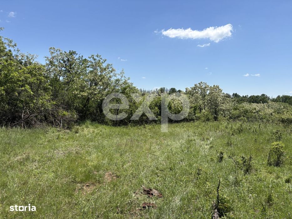 Intravilan 3015 mp Mosoaia | 48 ml deschidere | Langa padure