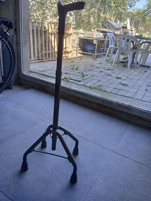 Bastoane ? Catje pentru persoane cu dizabilitati