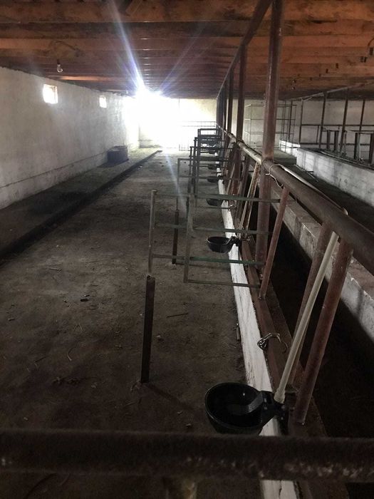 Поилка автоматическая для КРС