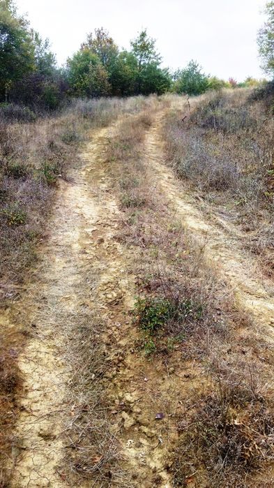 Продава се Земеделски имот в с. Баня, Област Бургас -  кв.м за 1429 €/дка - Снимка #5