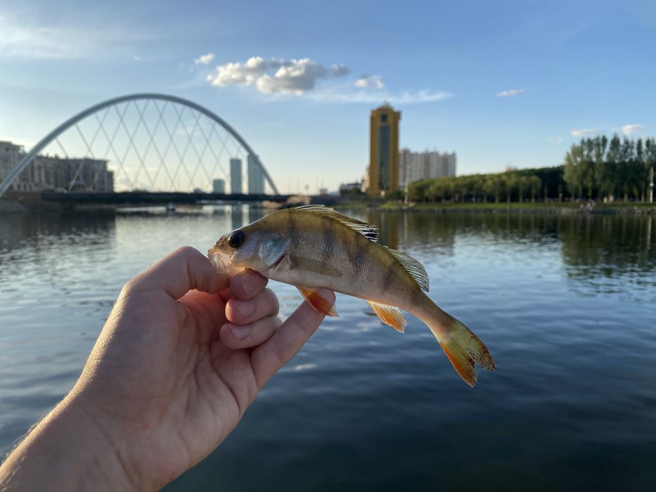 Спиннинг Daiwa NINJA Z 632ULFS ST