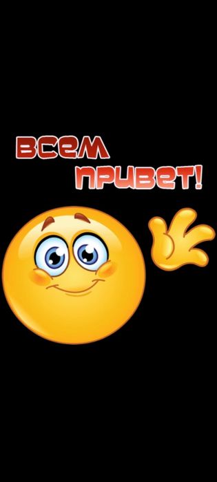 Продаю для собак и кошек фарш куриный