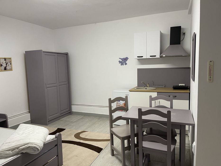 Casa de vanzare Sibiu Central str Ocnei 320mp 319000 euro