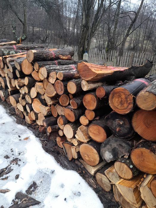Vand lemne de foc si de lucru - fag, stejar, pin si bile de brad