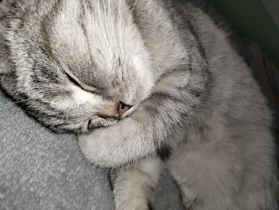 8 oyli qiz bola oyinqaroq