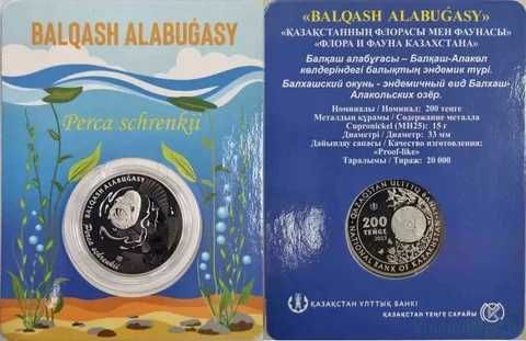 Блистеры футбольные клубы и Балхашский окунь