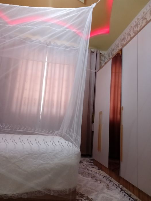 Пашшахона, тюль сеткадан, пешахона