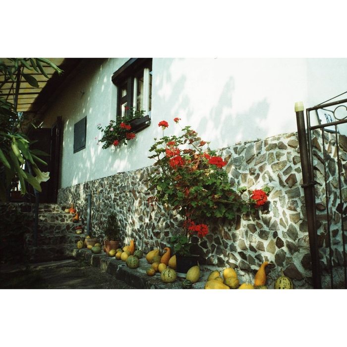 Aparat foto Kodak Pro-Star 100 - ca nou