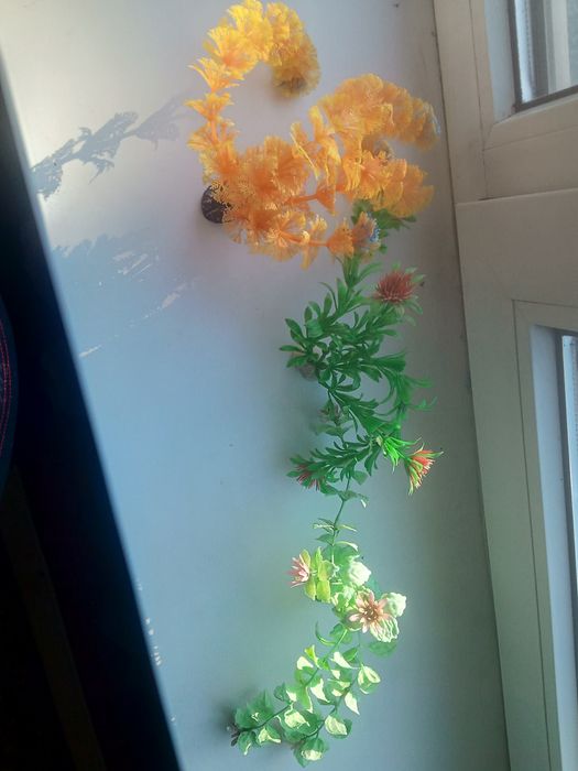 Аквариум сатылады