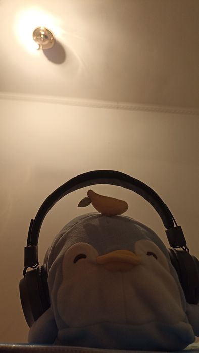 Наушники от hoco