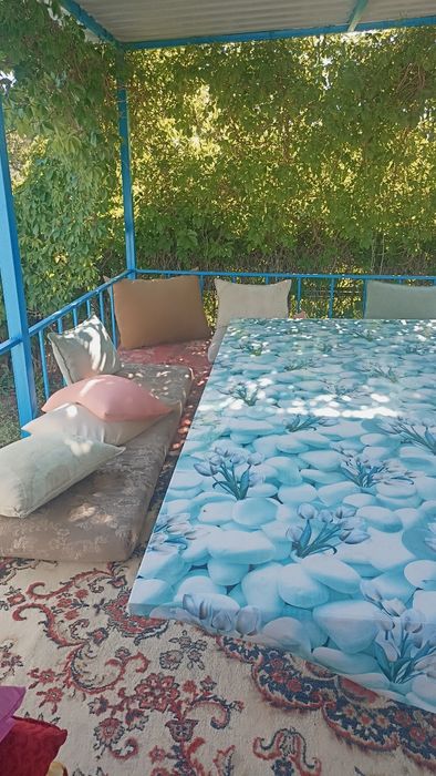 Дача "Уют" на Балхаше