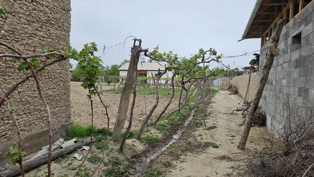 H I R M A N A S da er sotiladi