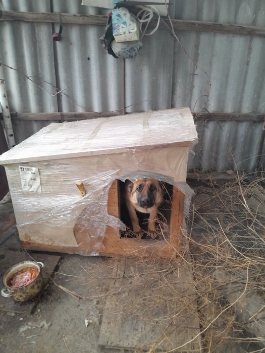 Продам будку и велик