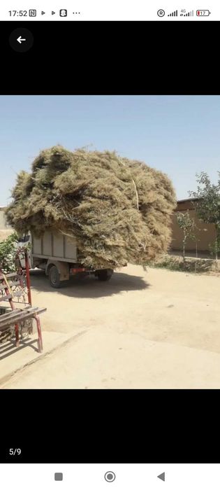 Форд транзит холати зор ходовой бакуват  пул керак шу учун сотаман!