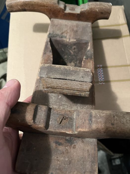 Rindea mare OANL . Suedia