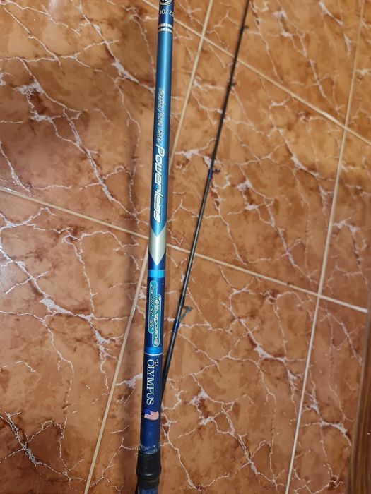 Bete de lanseta din carbon