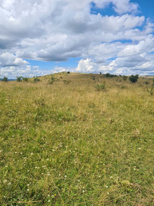 Teren extravilan  2500m2.  Panorama superba.-Salicea