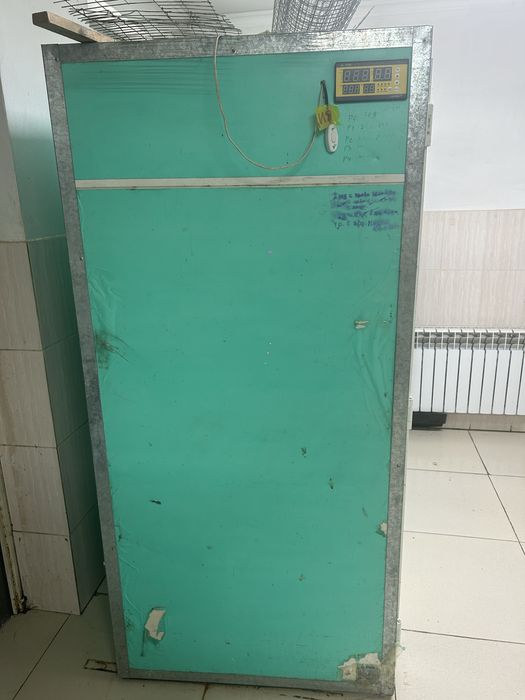 Инкубатор для яиц