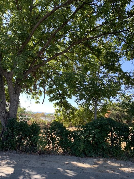 Inchiriez teren strada ostroveni/bulevard dem radulescu