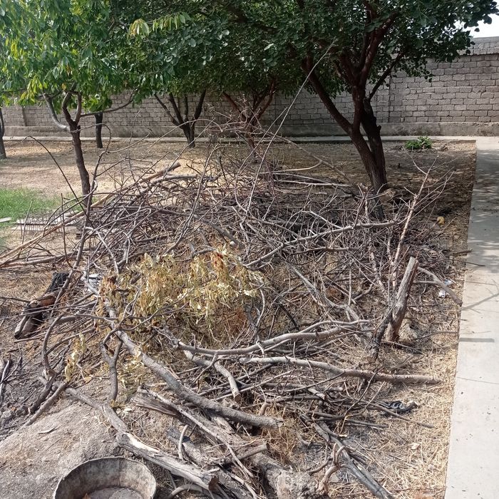 Утин сотилади (дрова)