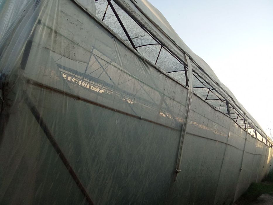 Parnik sotiladi, 5 sotix