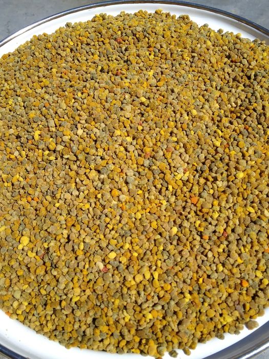 Vând polen crud de pomi fructiferi cantitate 200kg  preț 45lei/kg