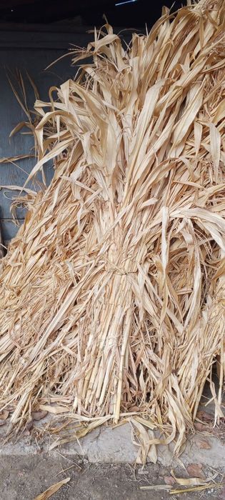 Продаётся кукуруза