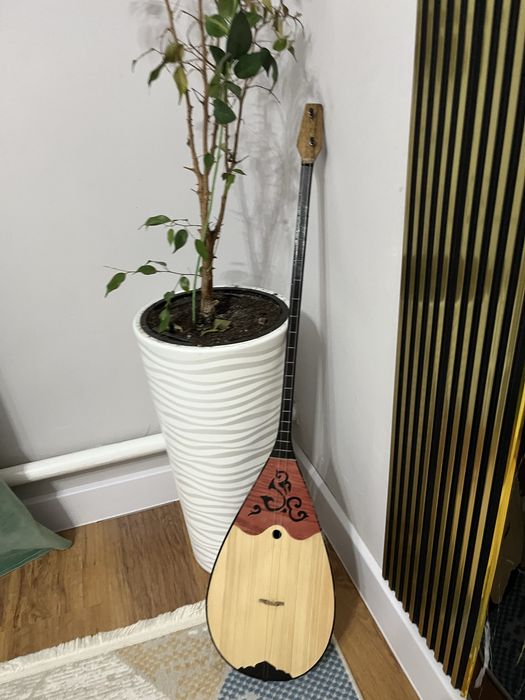 Домбыра сатамын 22мын